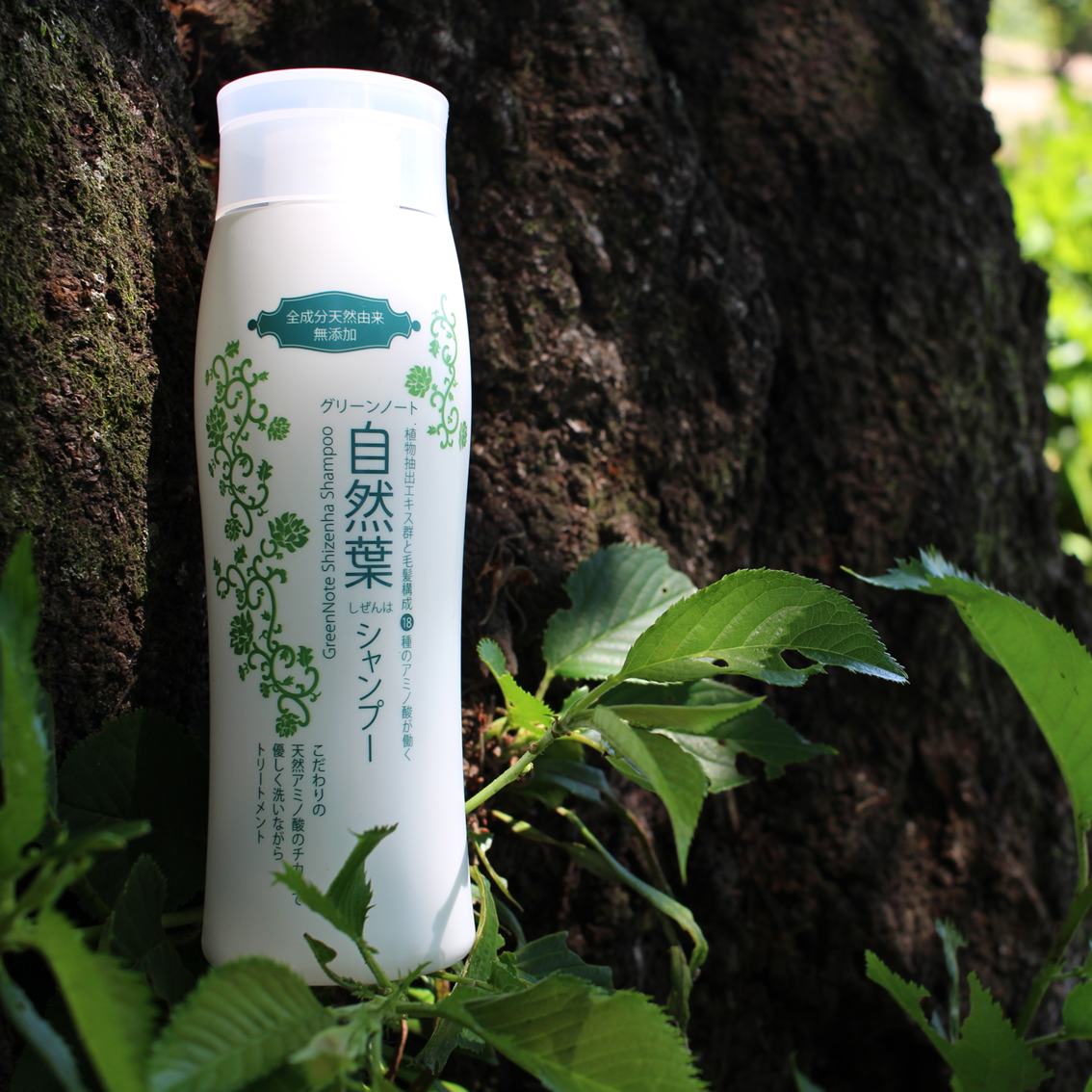 GreenNote Plant Based Shampoo